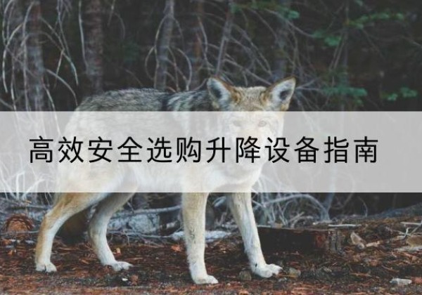 平坝升降货梯厂家推荐-*安全选购升降设备指南