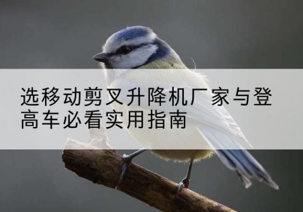 平坝电动升降机厂家-选移动剪叉升降机厂家与登高车必看实用指南
