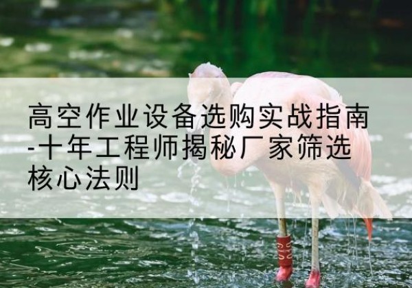 平坝剪叉式升降机厂家-高空作业设备选购实战指南-十年工程师揭秘厂家筛选核心法则